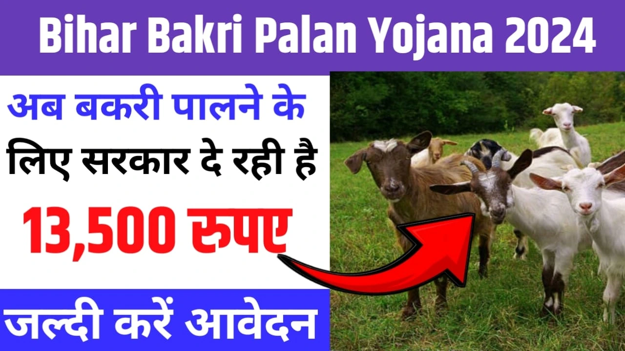 Bihar Bakri Palan Yojana 2024